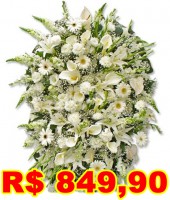 /album/galeria-de-fotos-coroa-de-flores-niteroi/coroa-de-flores-parque-da-colina-07-jpg/